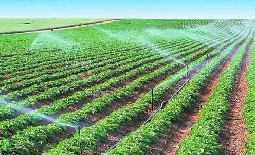 插的幼女好多水视频农田高 效节水灌溉